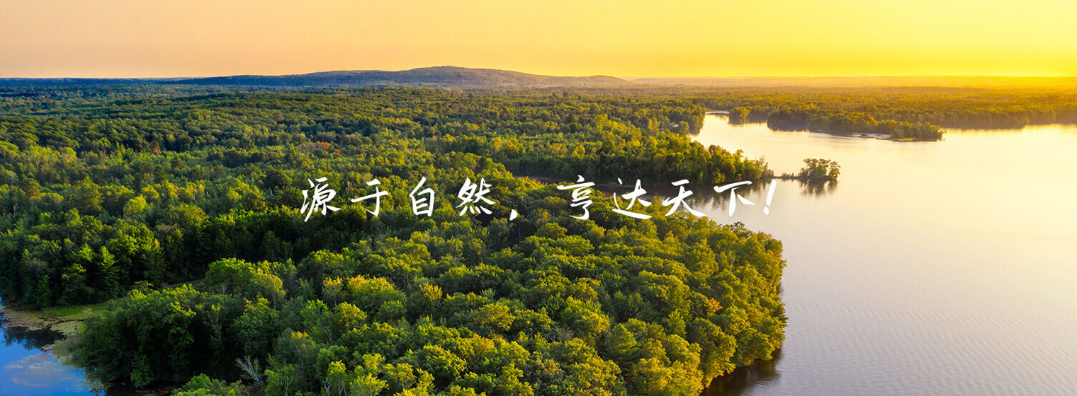(图1)